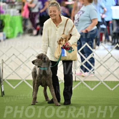 Parade-of-Rescues_2039