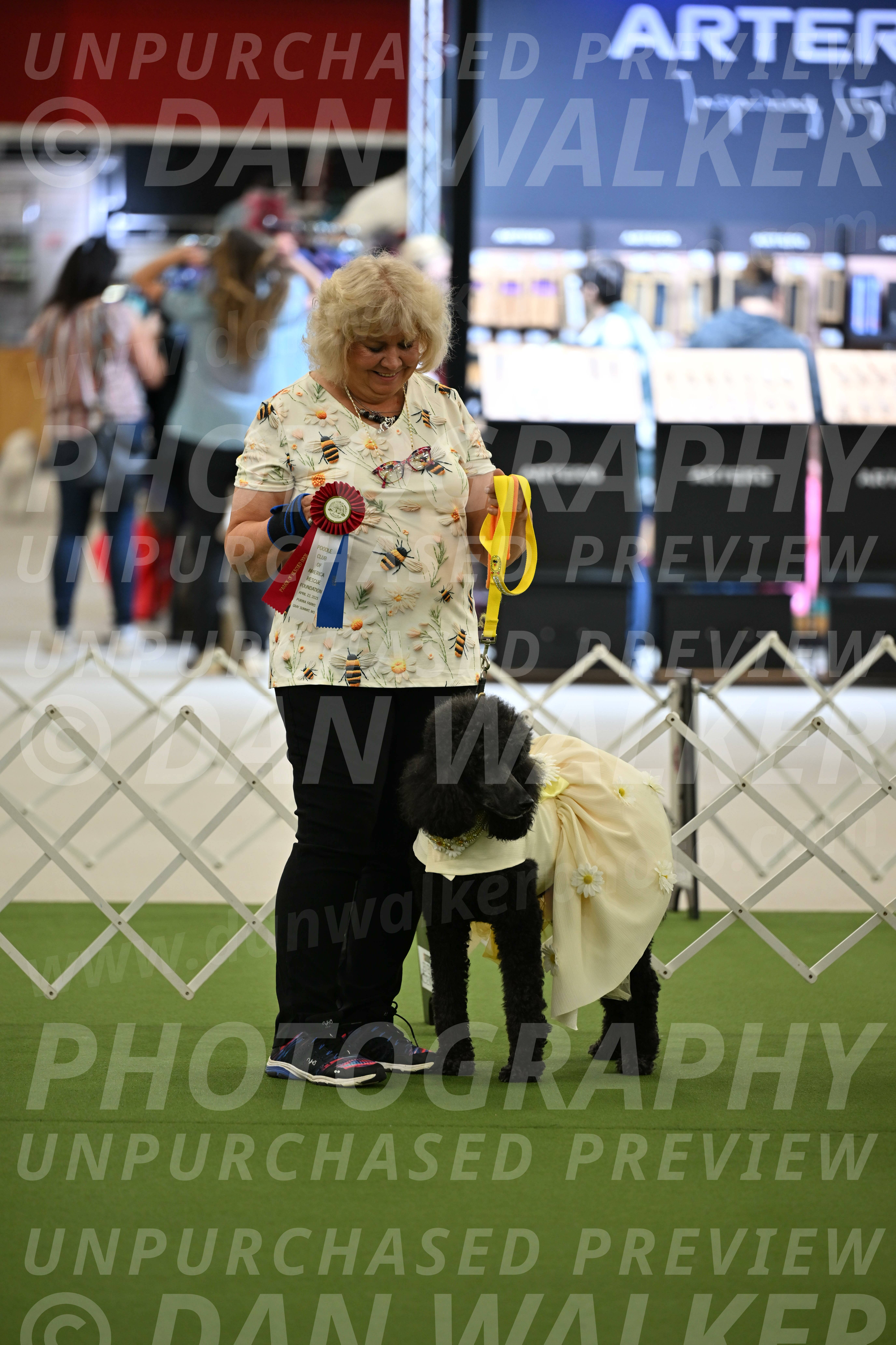 Parade-of-Rescues_2040