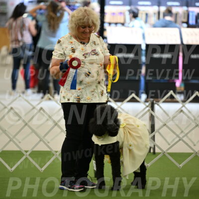 Parade-of-Rescues_2040