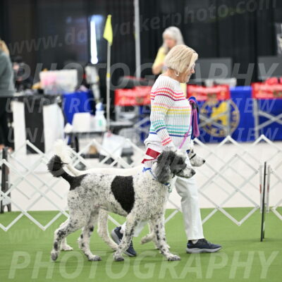 Parade-of-Rescues_2043