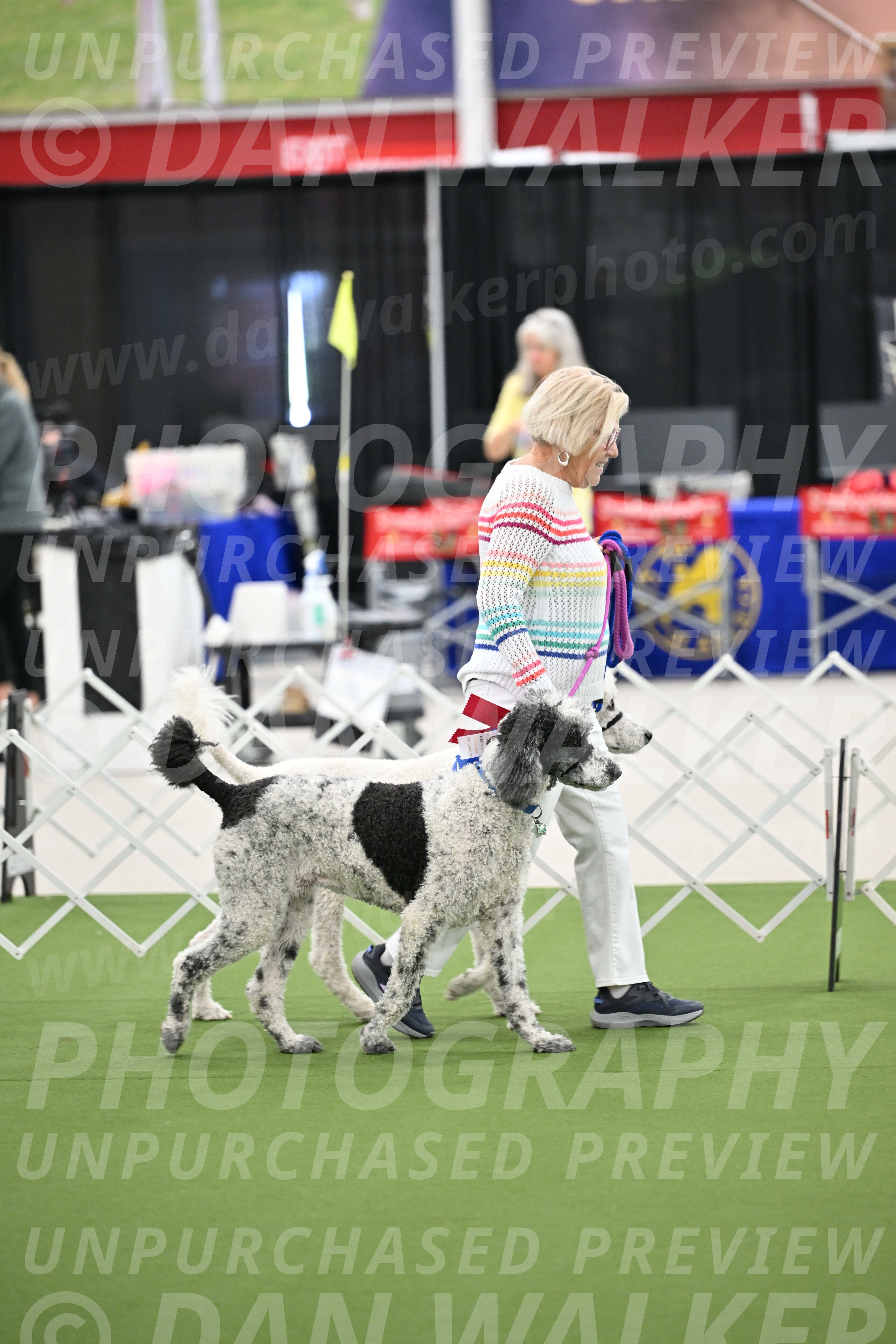 Parade-of-Rescues_2043