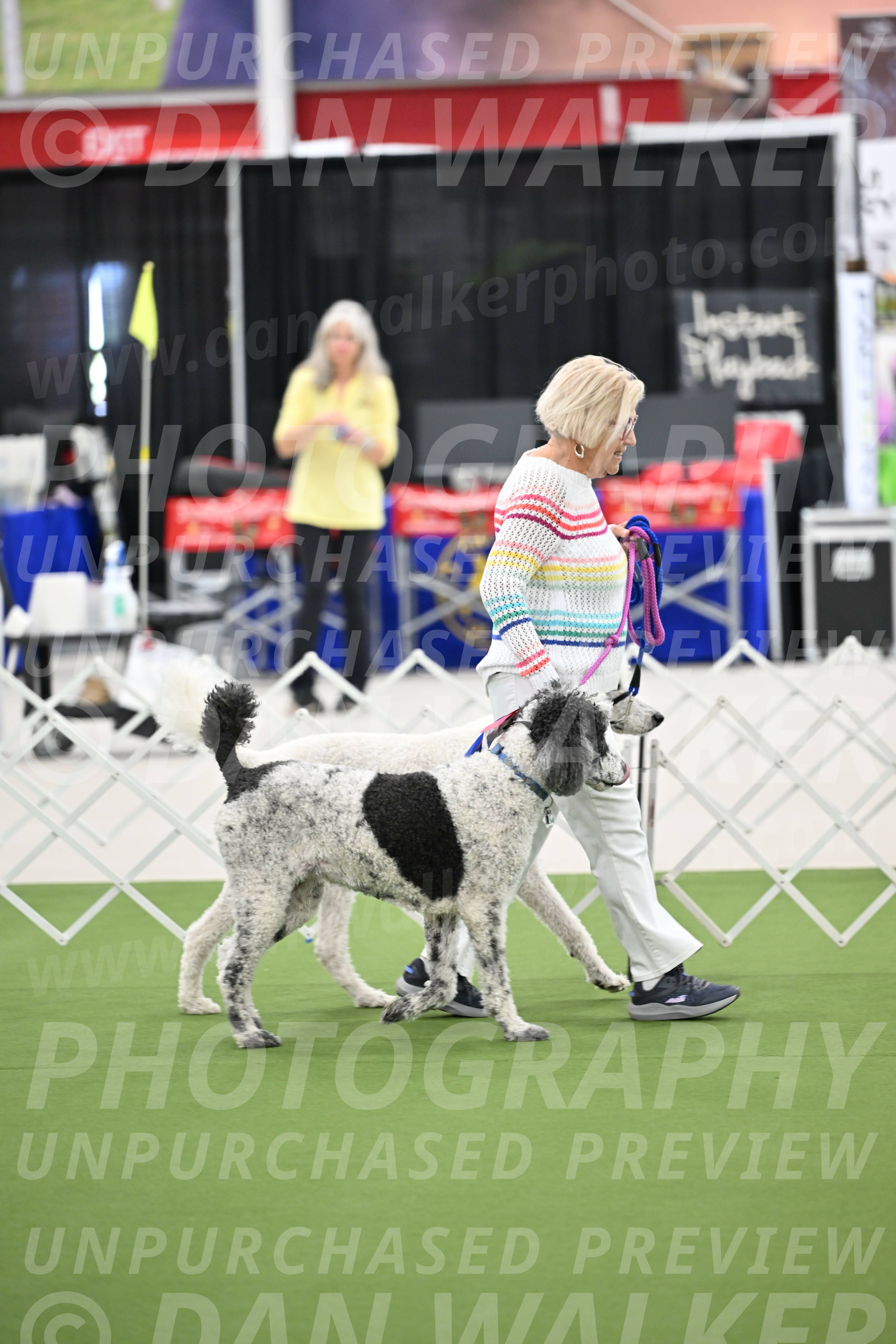 Parade-of-Rescues_2045