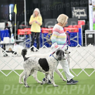 Parade-of-Rescues_2045