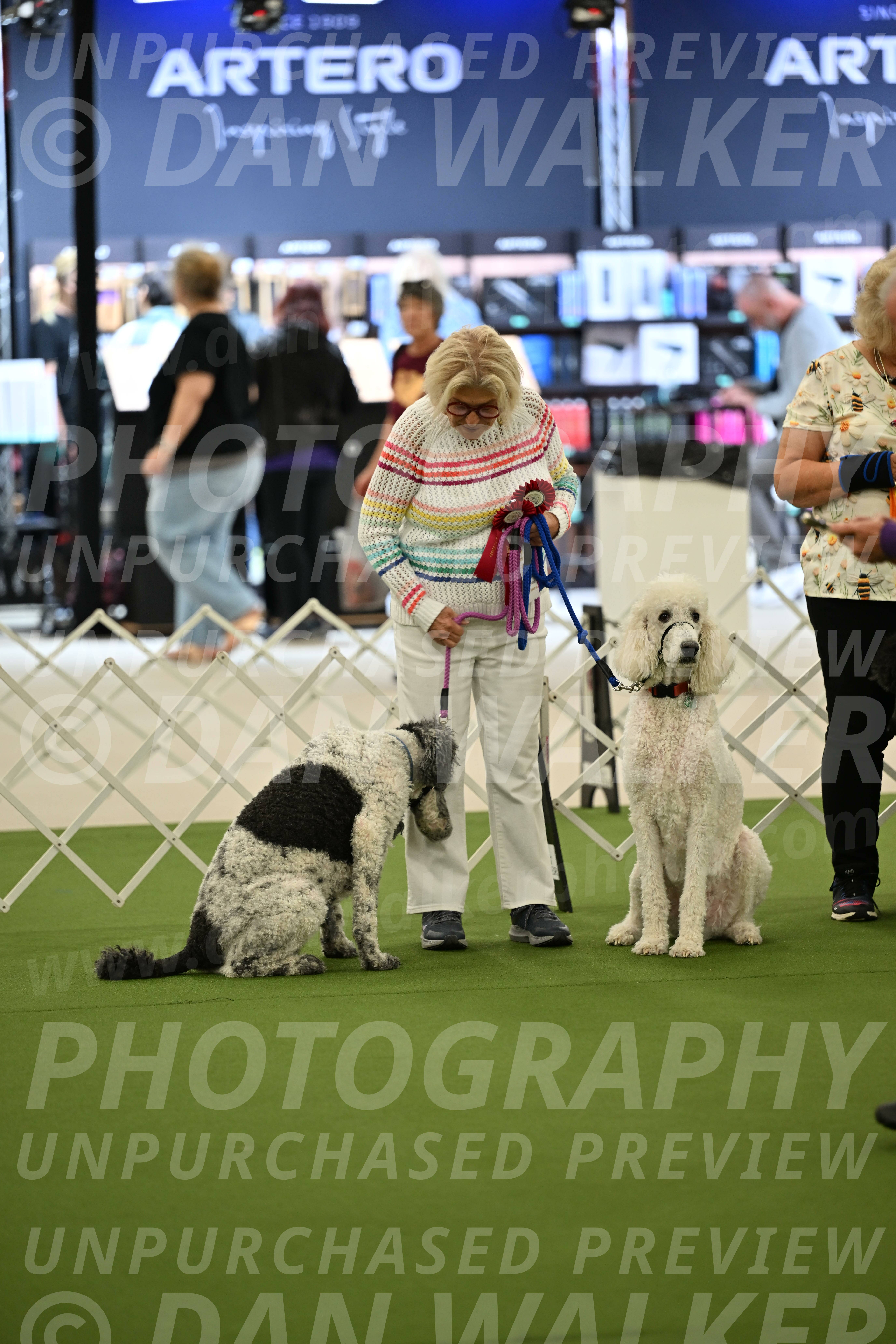 Parade-of-Rescues_2046