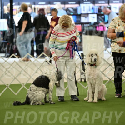 Parade-of-Rescues_2047