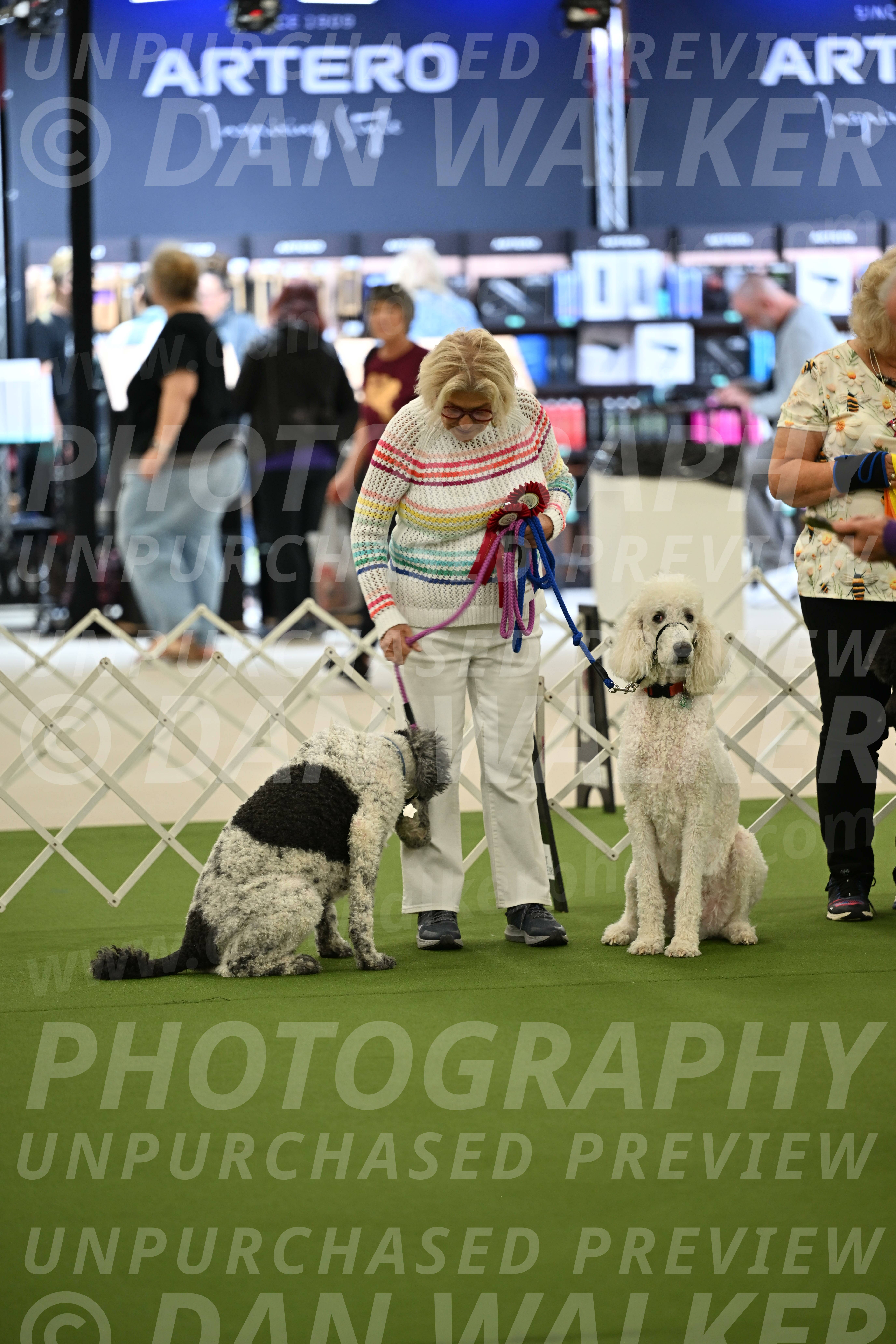 Parade-of-Rescues_2047