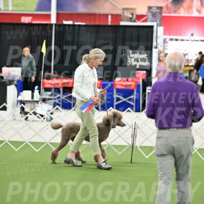 Parade-of-Rescues_2048