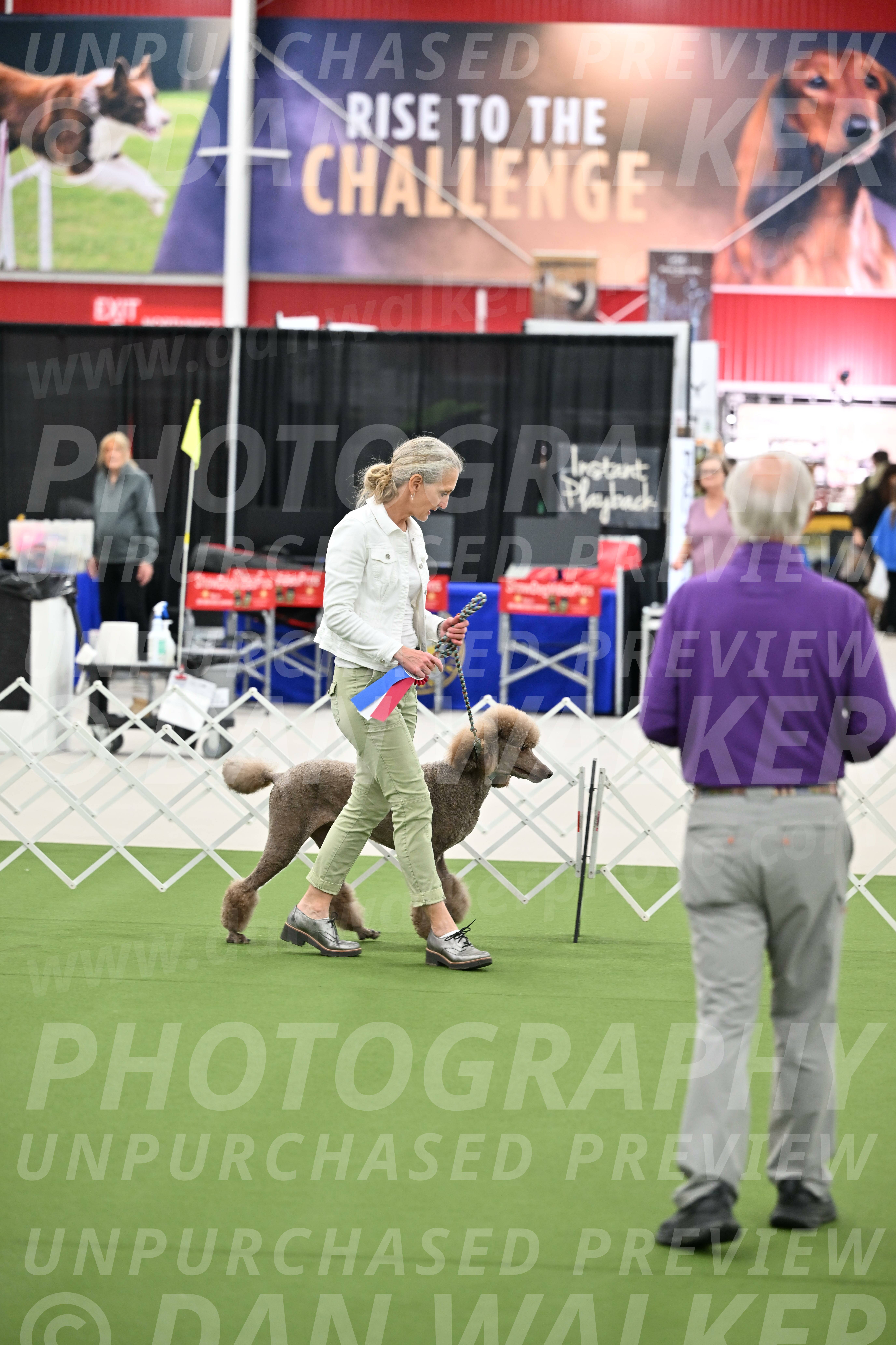 Parade-of-Rescues_2048