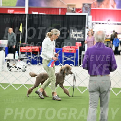 Parade-of-Rescues_2049