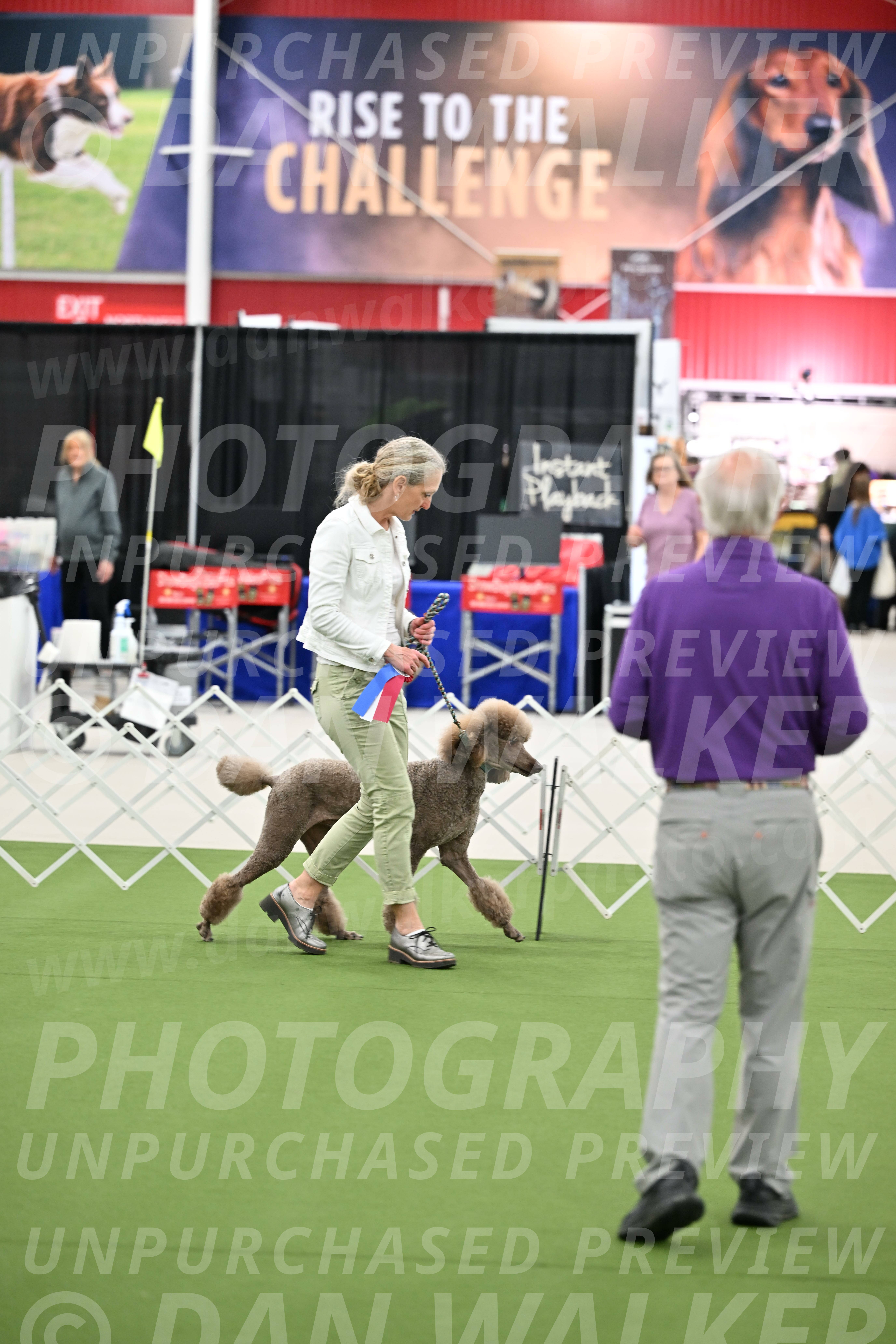 Parade-of-Rescues_2049