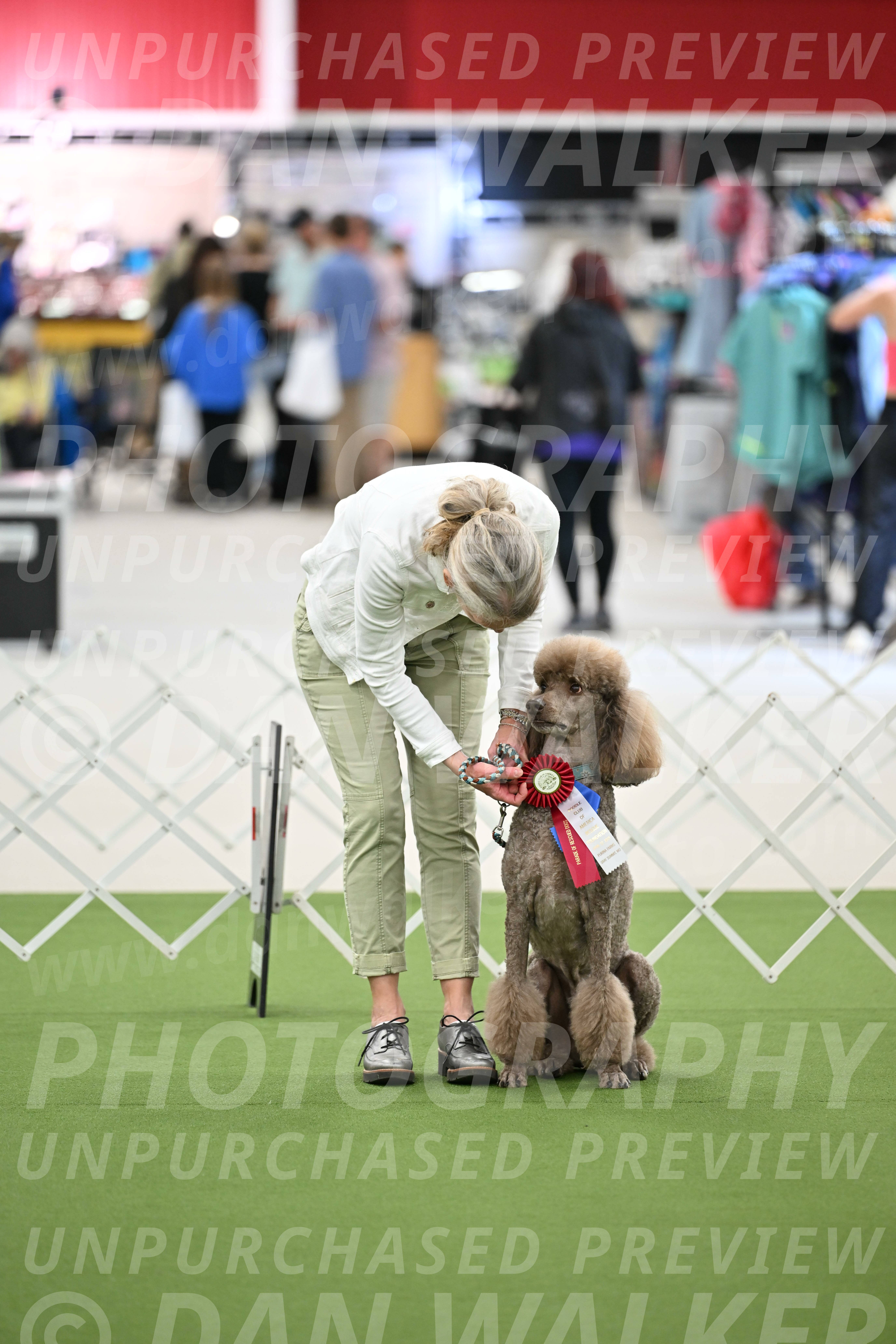 Parade-of-Rescues_2050