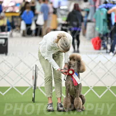 Parade-of-Rescues_2050