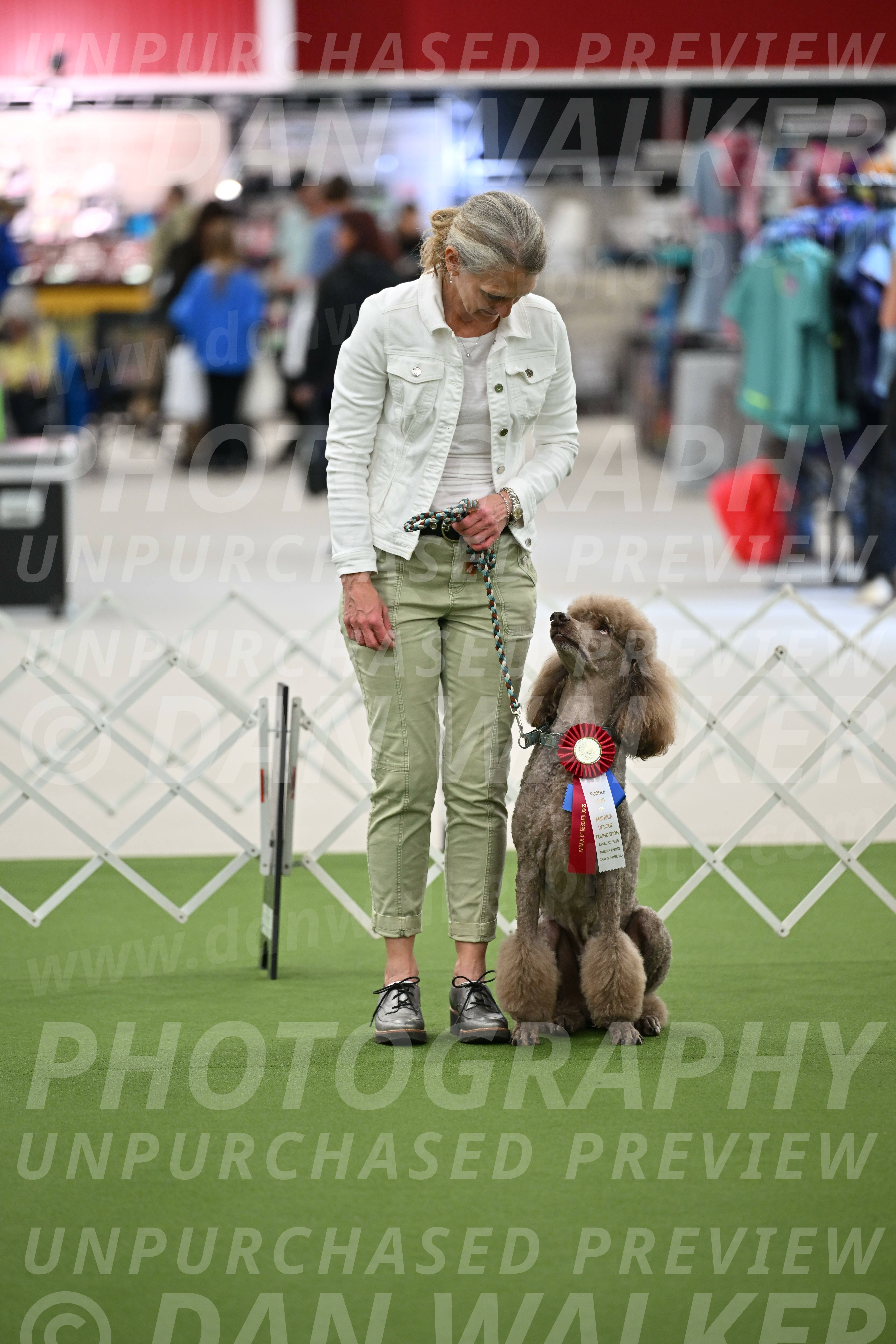 Parade-of-Rescues_2054