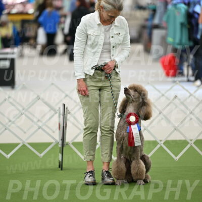 Parade-of-Rescues_2054