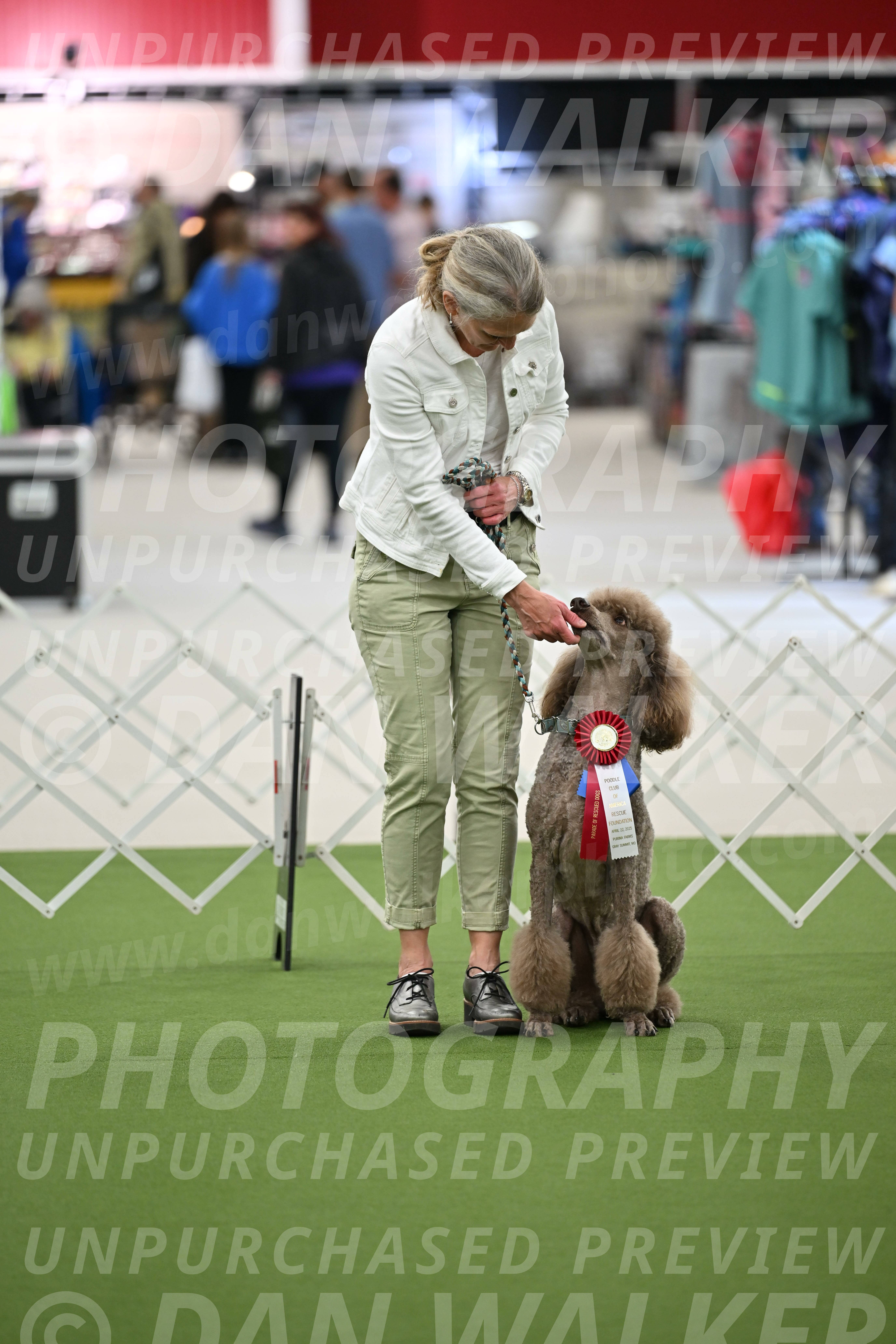 Parade-of-Rescues_2056