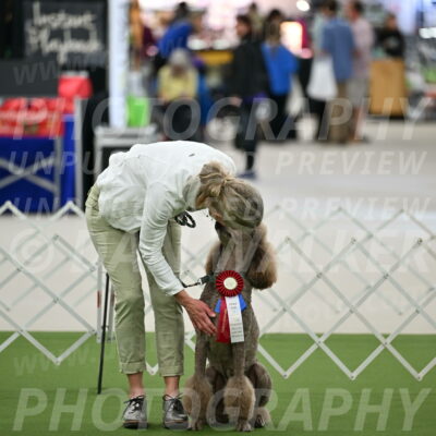 Parade-of-Rescues_2057