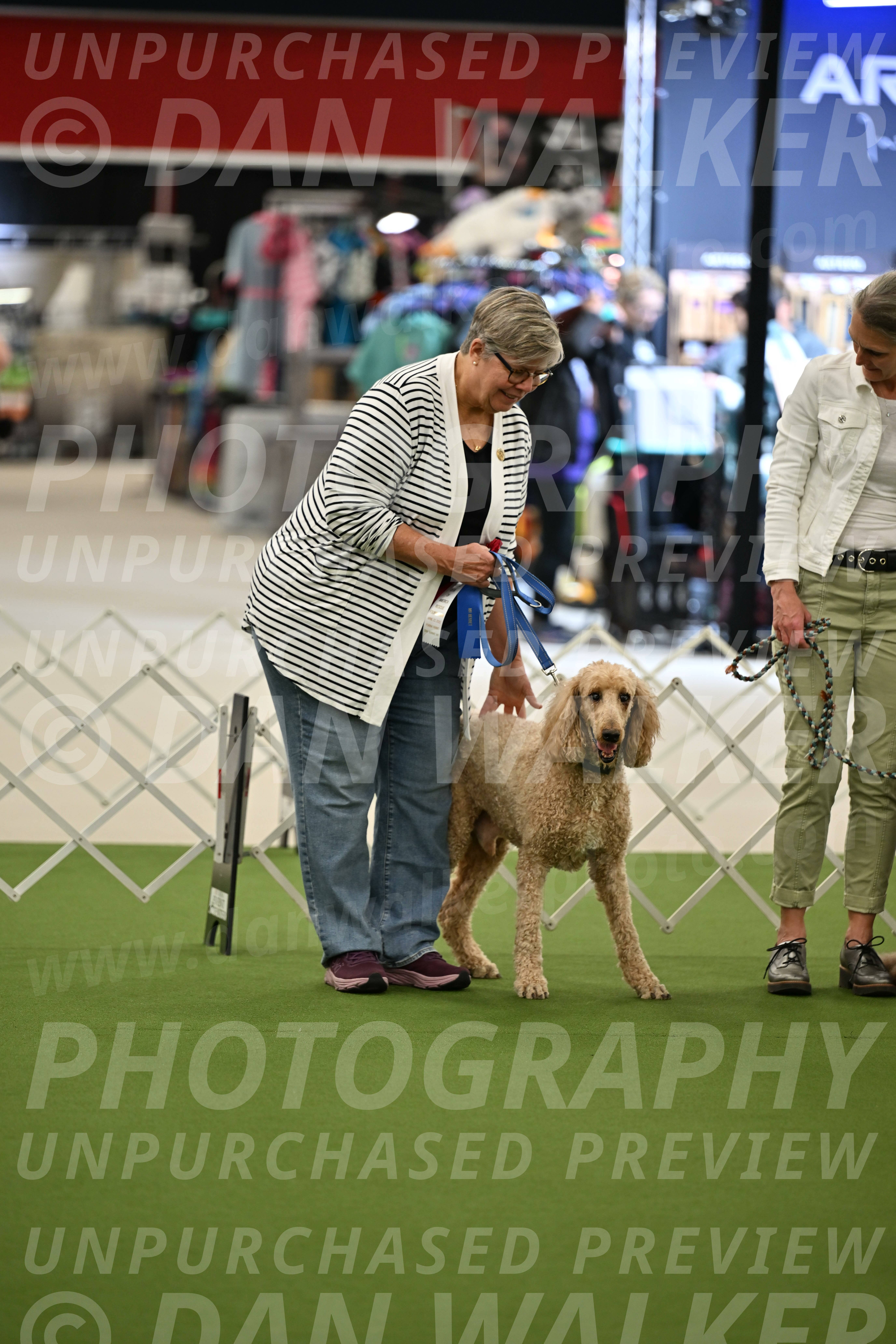 Parade-of-Rescues_2058