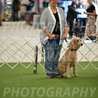 Parade-of-Rescues_2060