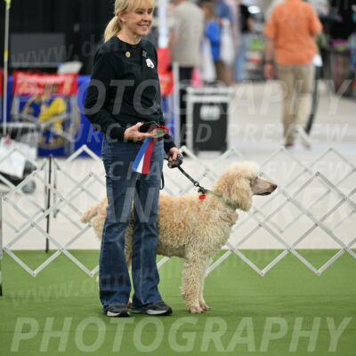 Parade-of-Rescues_2061