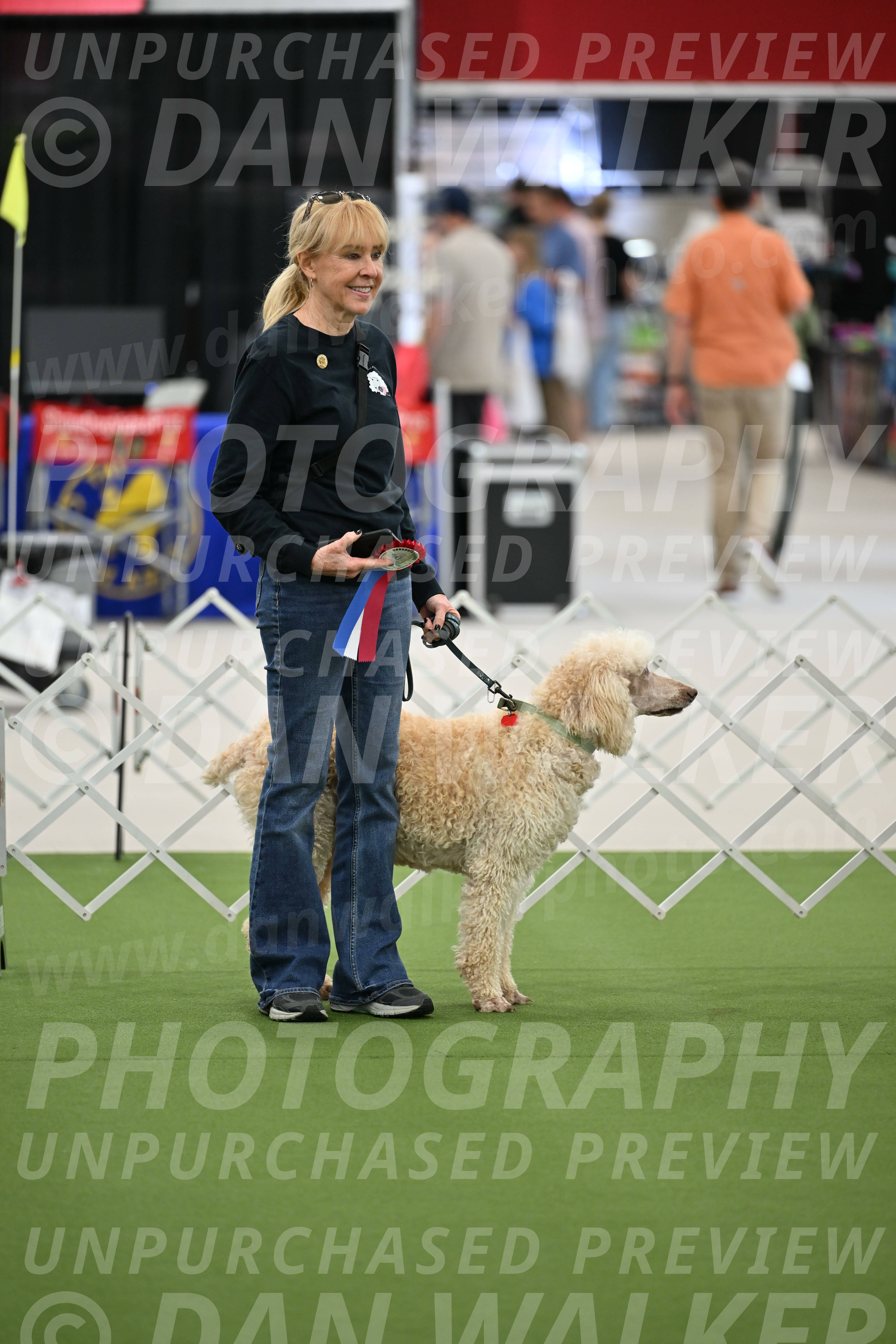 Parade-of-Rescues_2061