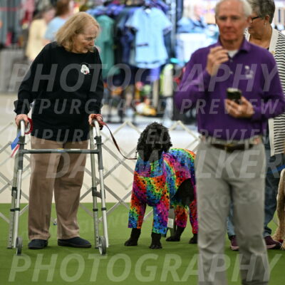 Parade-of-Rescues_2063