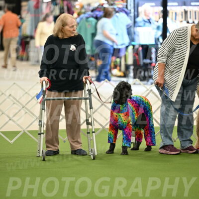 Parade-of-Rescues_2065