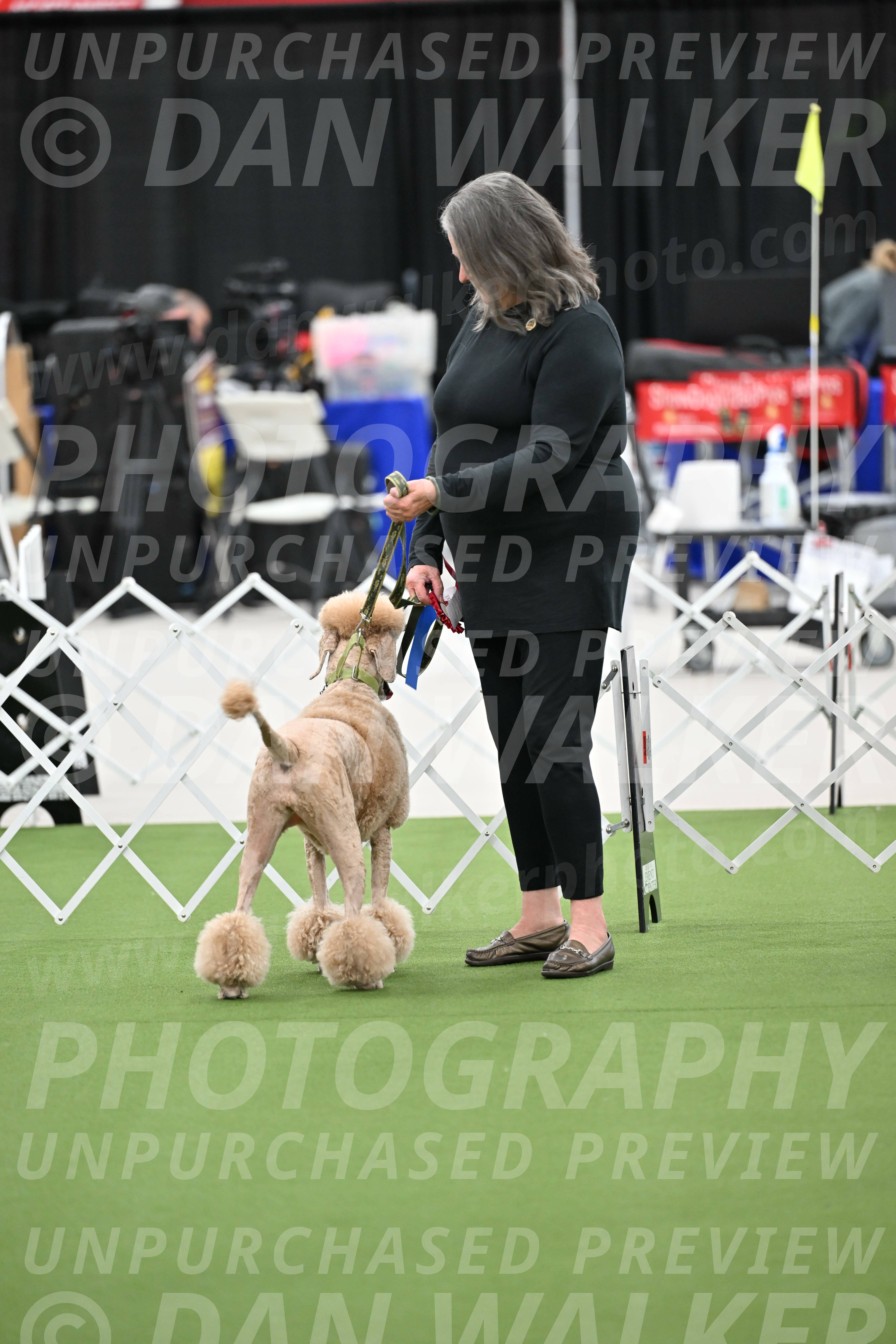 Parade-of-Rescues_2066