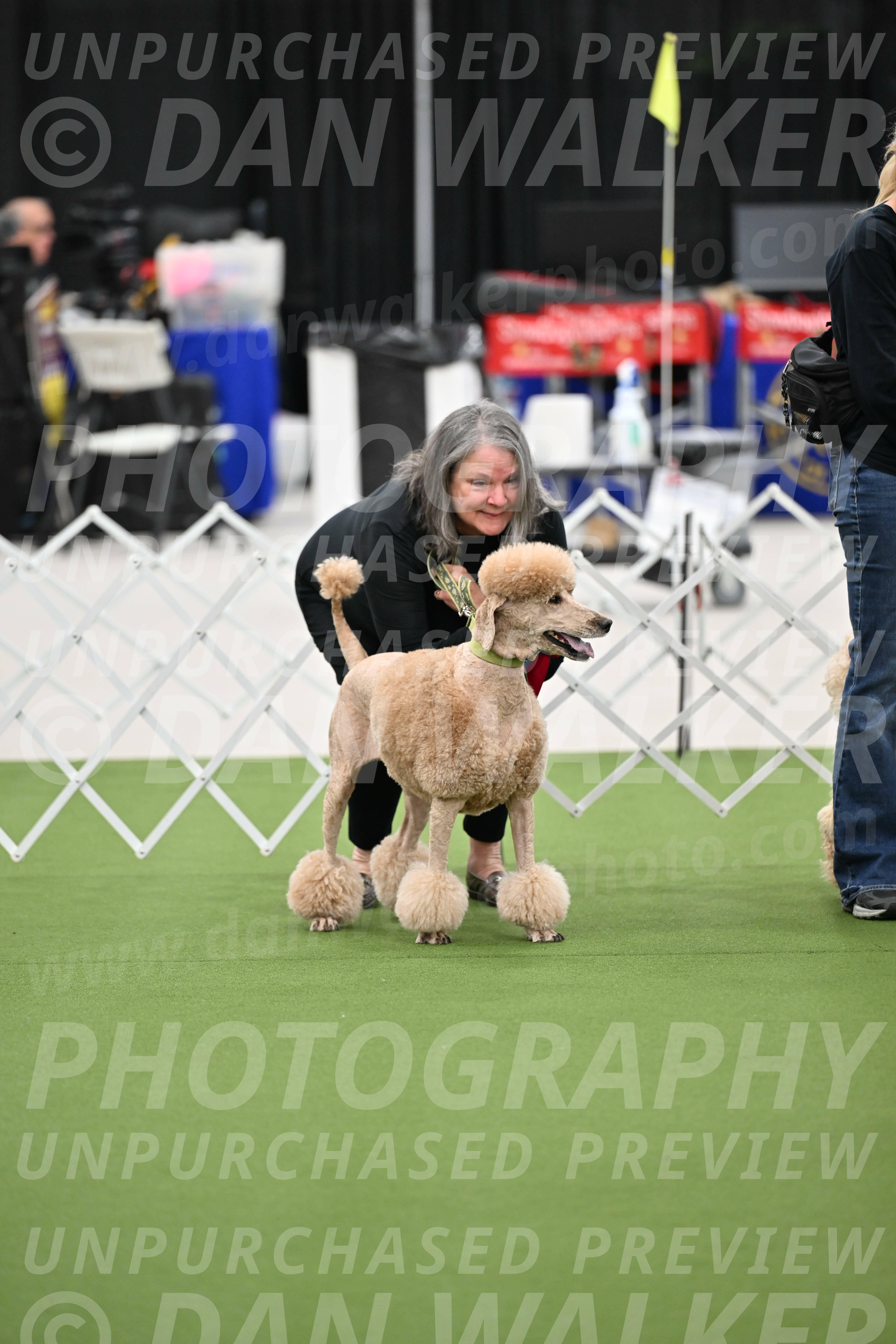 Parade-of-Rescues_2067