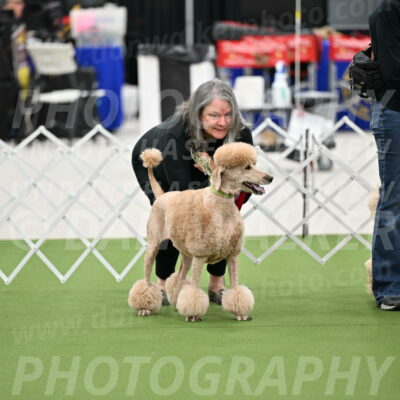 Parade-of-Rescues_2067