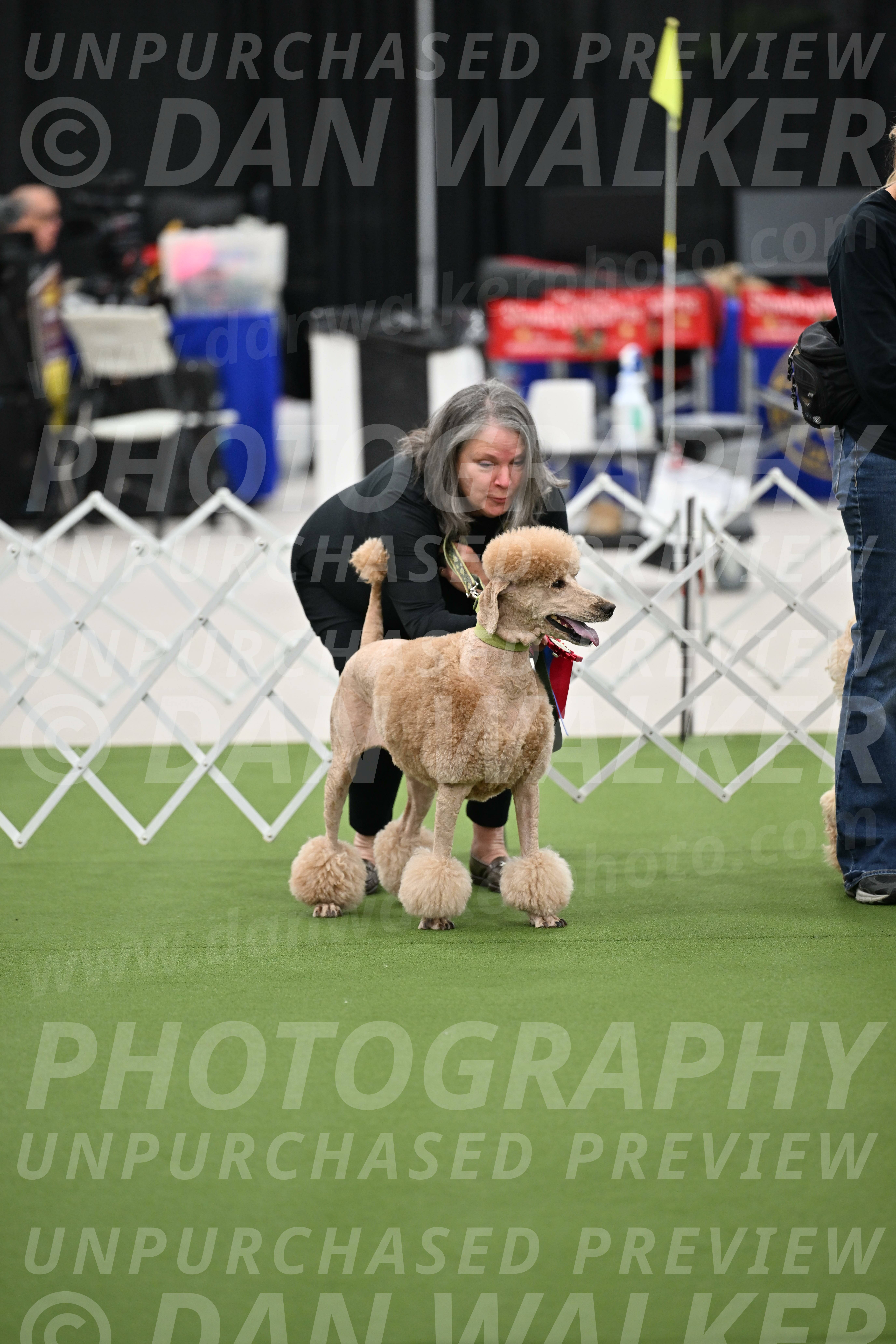 Parade-of-Rescues_2068