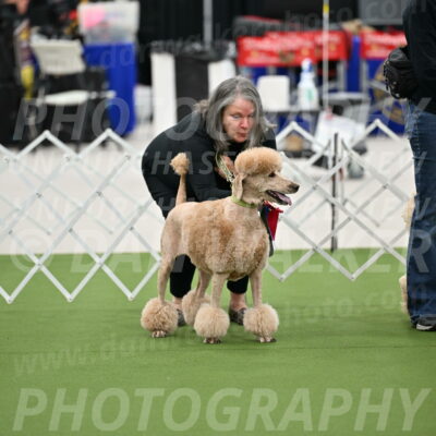 Parade-of-Rescues_2068