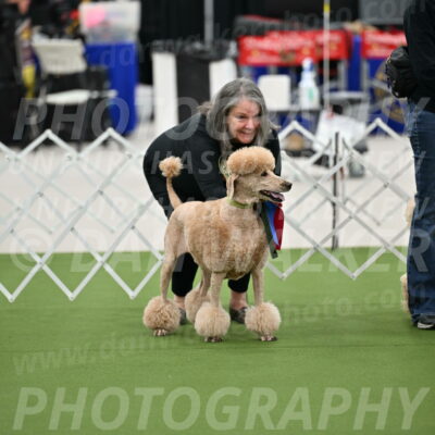 Parade-of-Rescues_2070