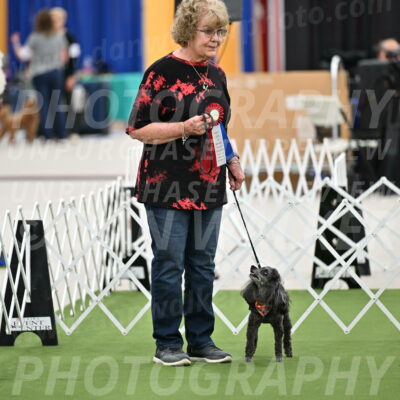 Parade-of-Rescues_2071