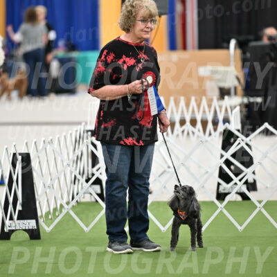 Parade-of-Rescues_2072