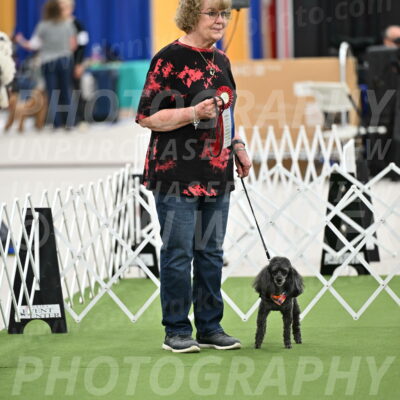 Parade-of-Rescues_2074