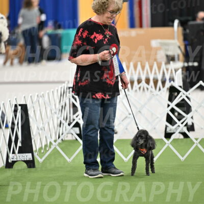 Parade-of-Rescues_2076