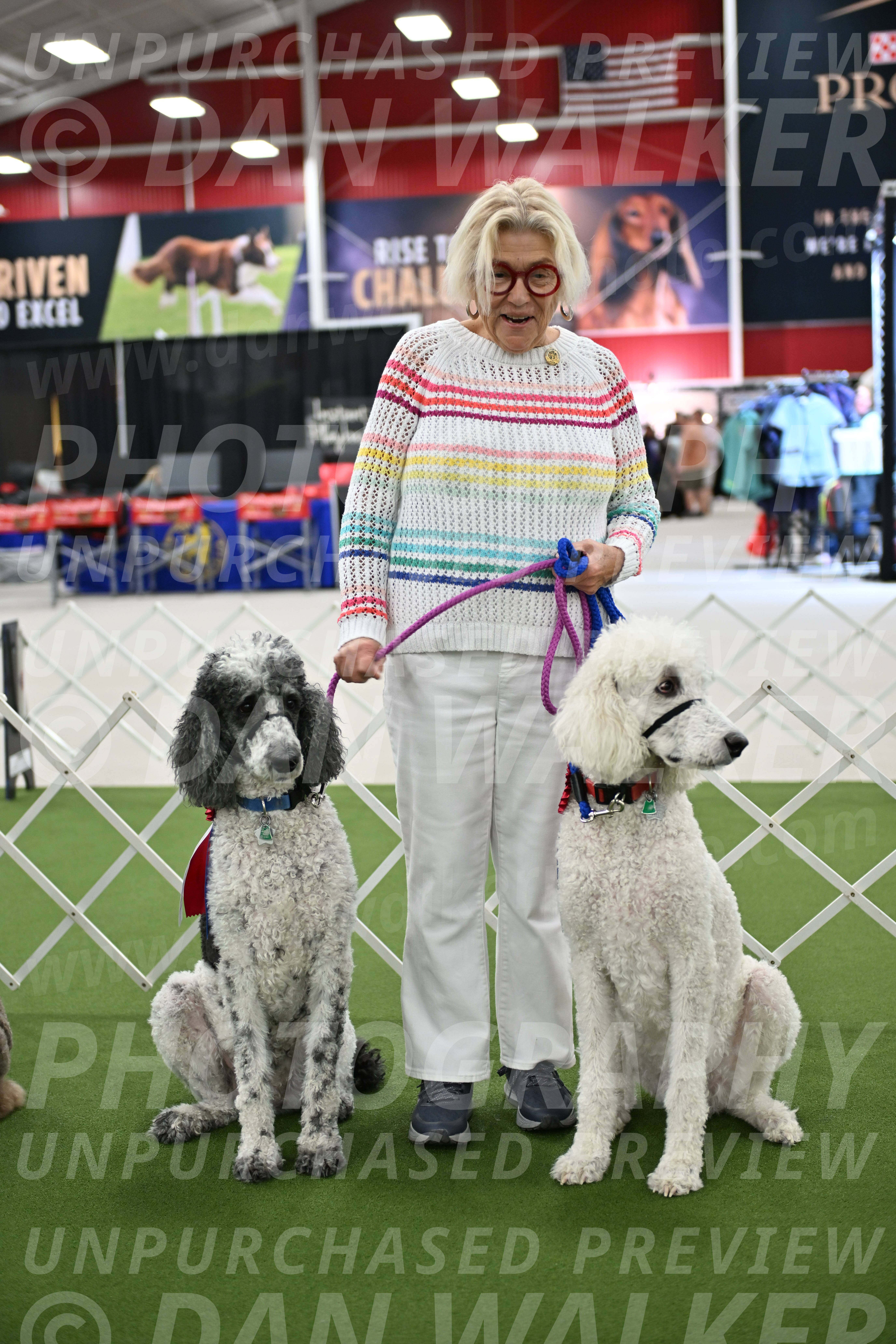 Parade-of-Rescues_2083