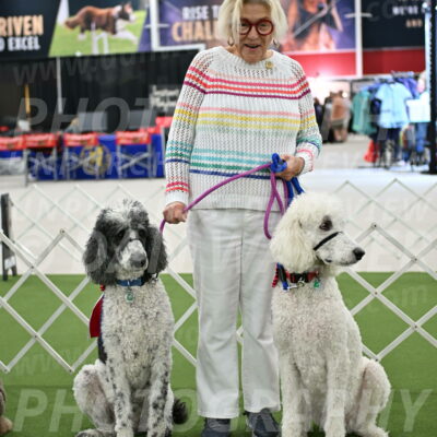 Parade-of-Rescues_2083