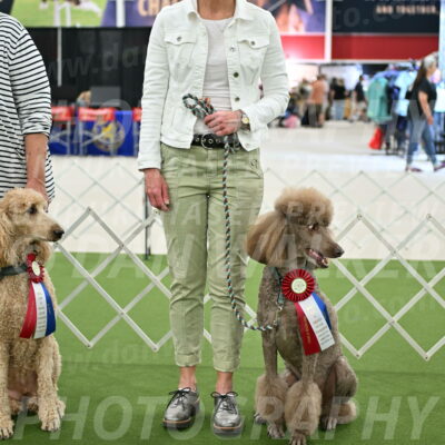 Parade-of-Rescues_2085