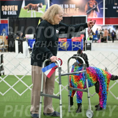 Parade-of-Rescues_2089