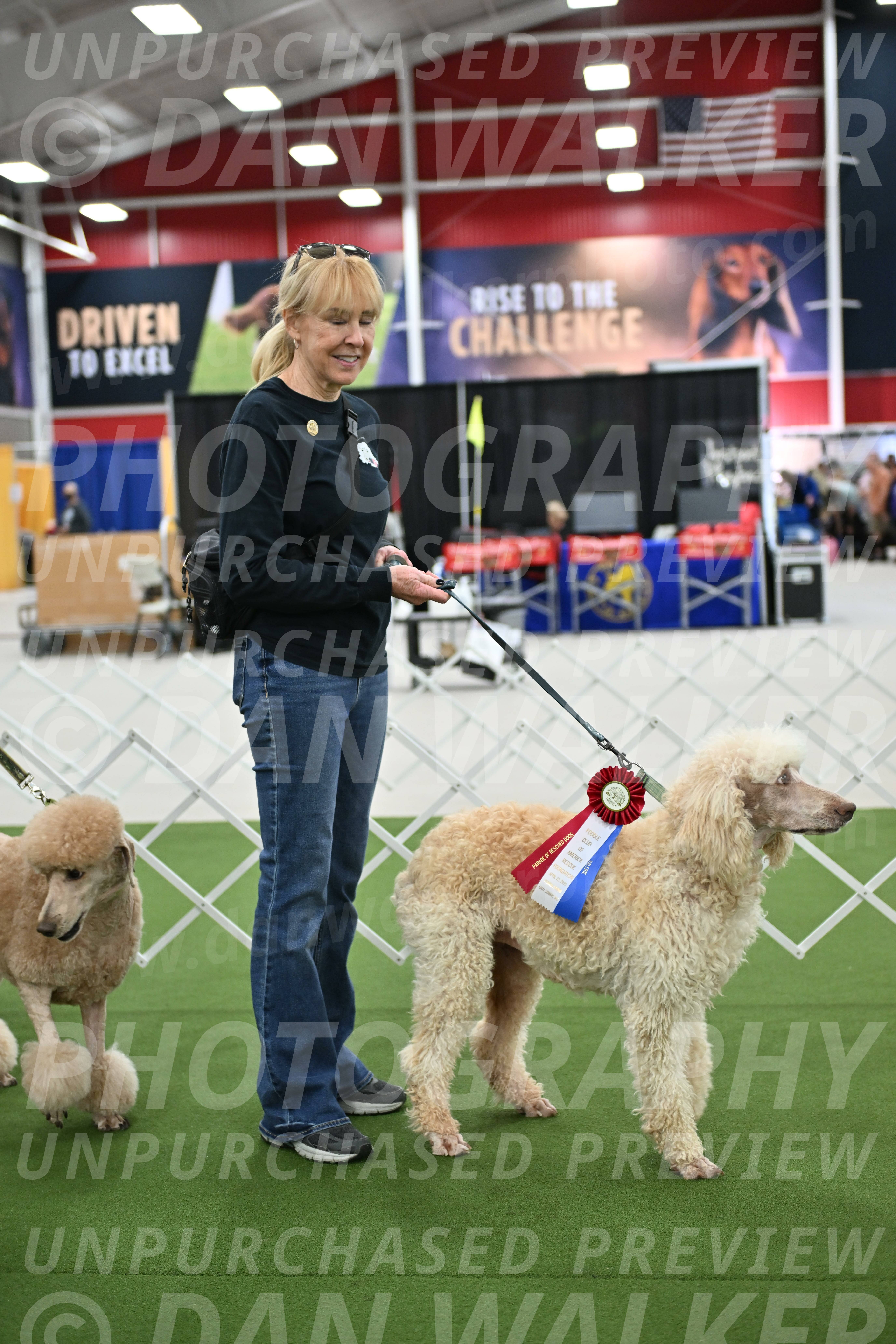 Parade-of-Rescues_2091