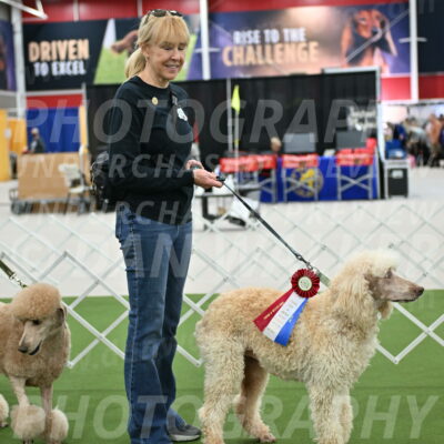 Parade-of-Rescues_2091