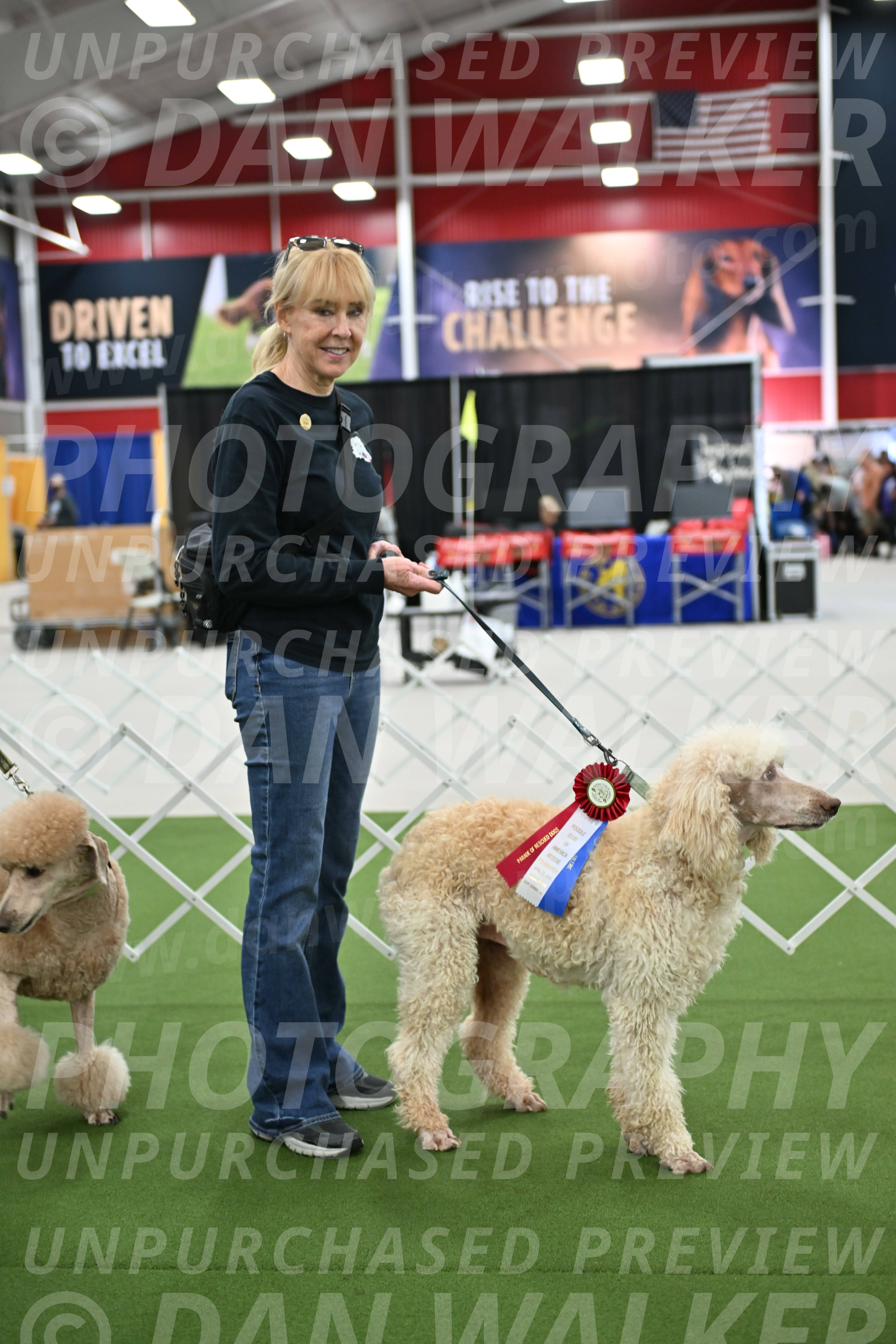 Parade-of-Rescues_2092