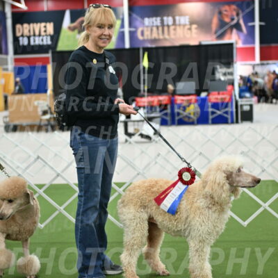 Parade-of-Rescues_2092