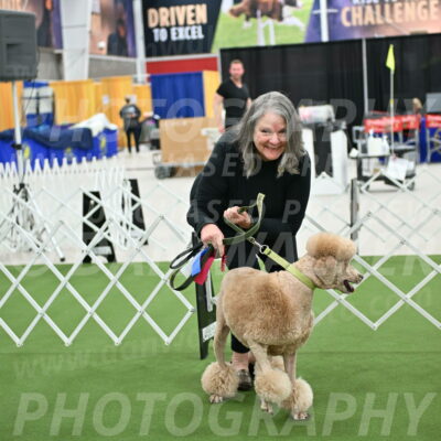 Parade-of-Rescues_2093