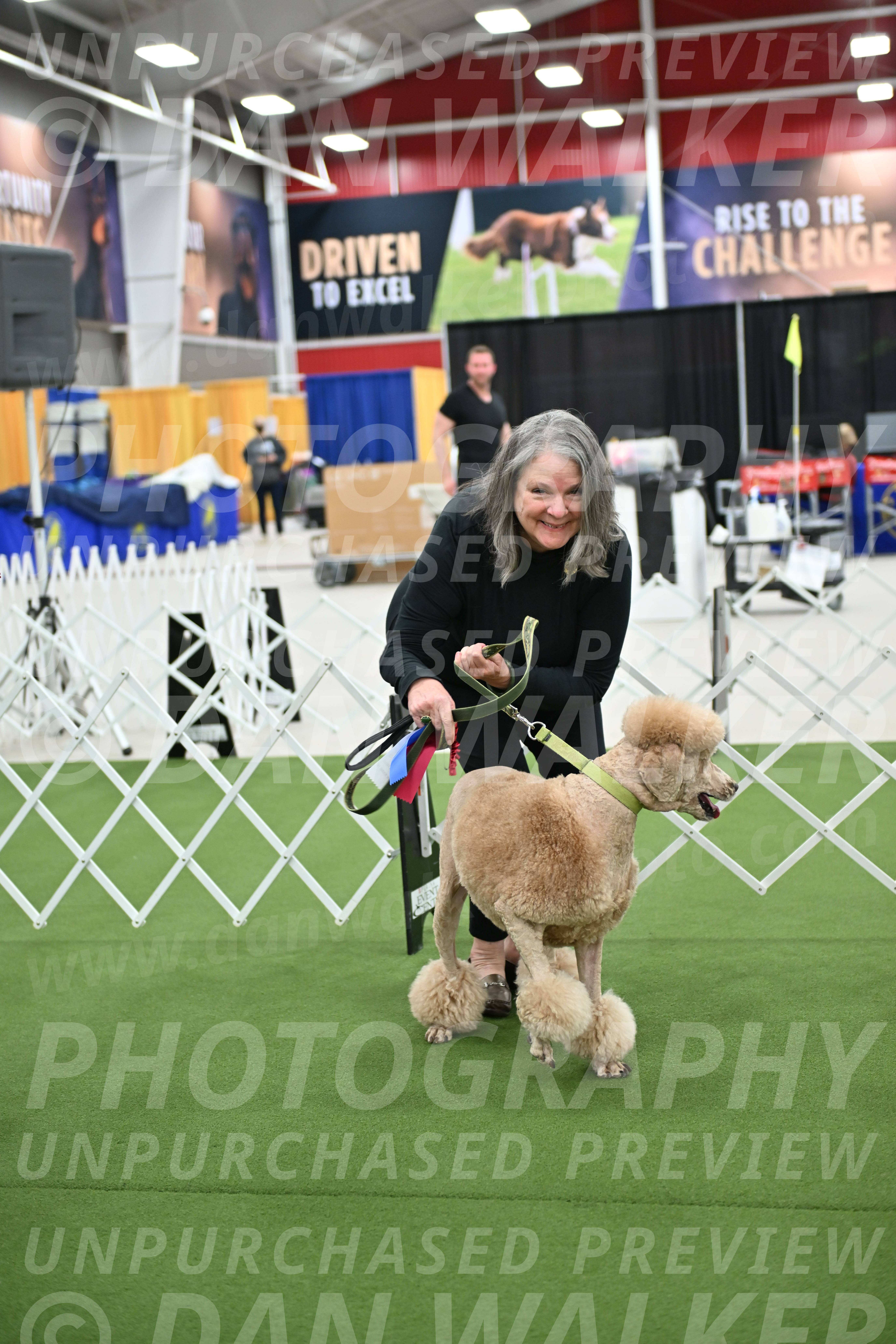 Parade-of-Rescues_2093