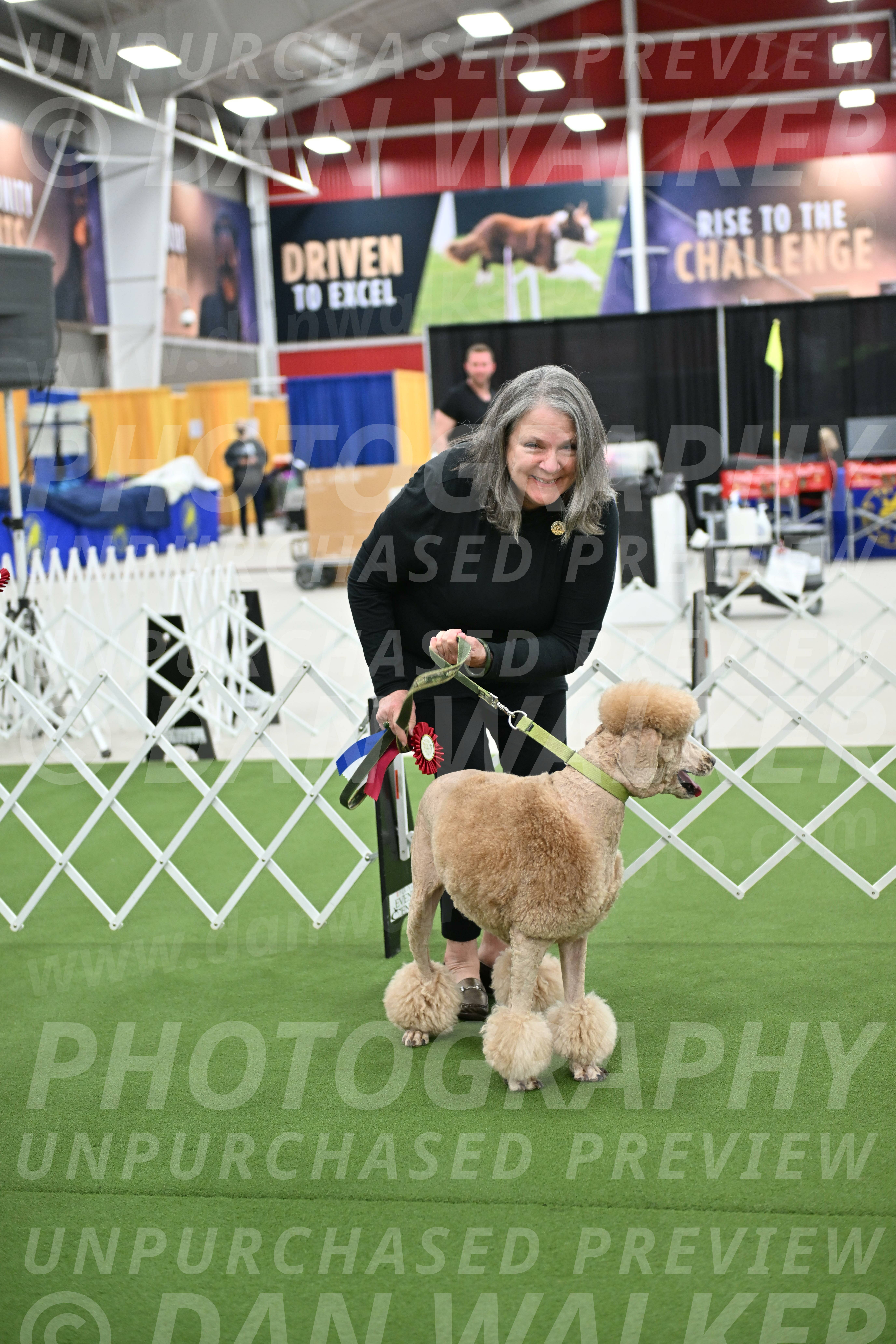 Parade-of-Rescues_2096