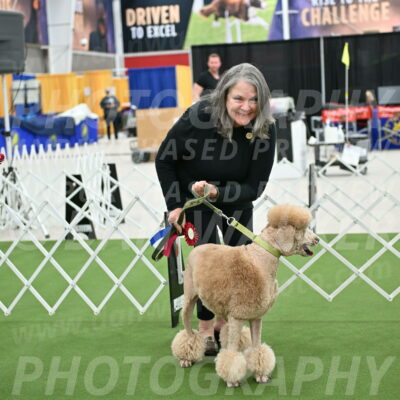 Parade-of-Rescues_2096