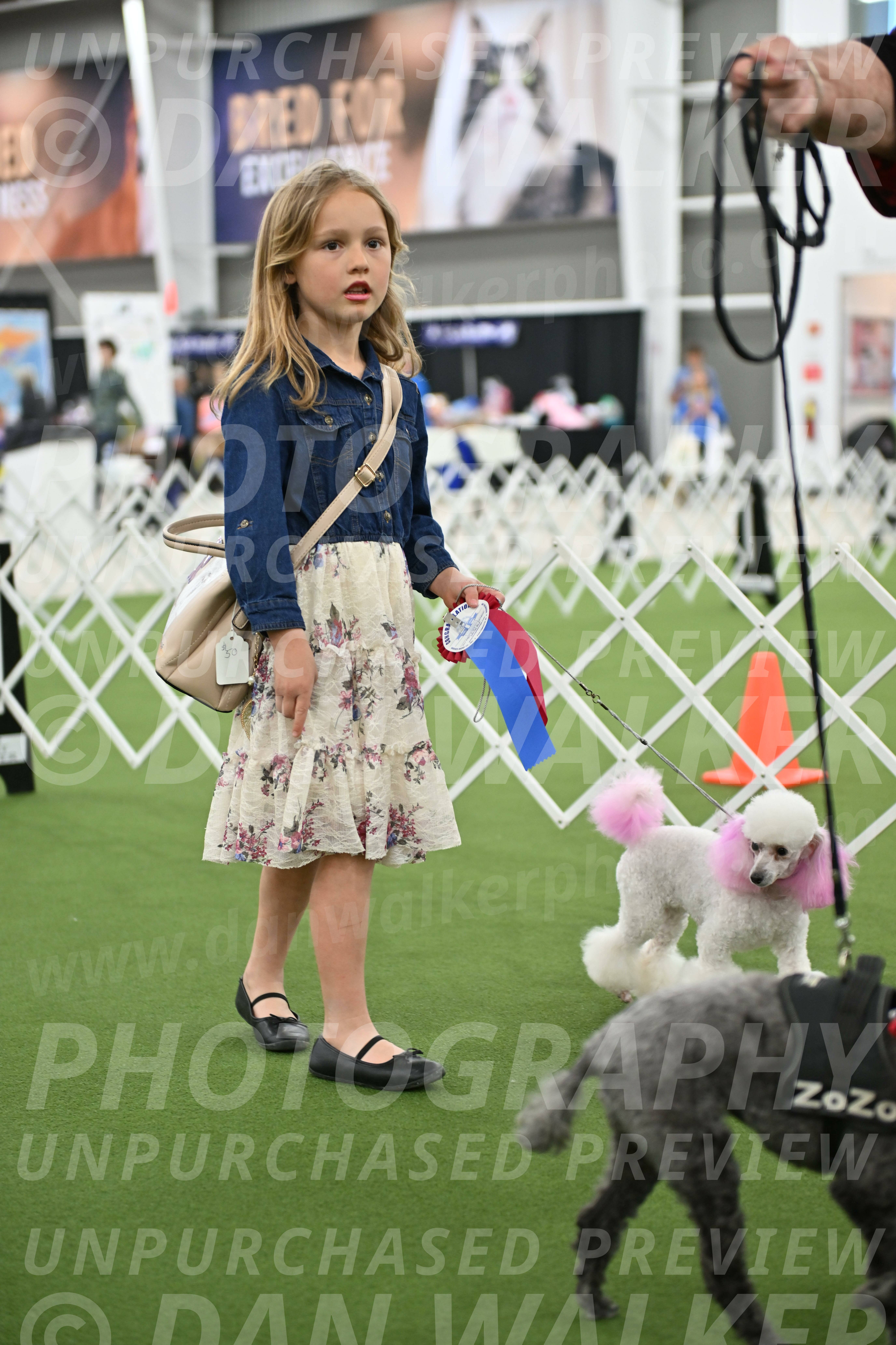 Parade-of-Rescues_2106