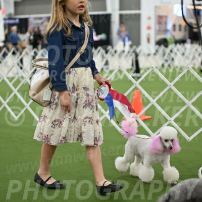 Parade-of-Rescues_2108